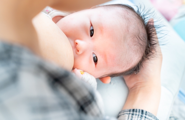母乳育児と顎の発達の関係