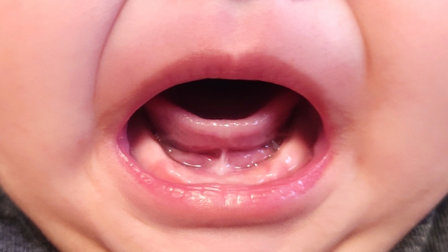 口育・食育とは