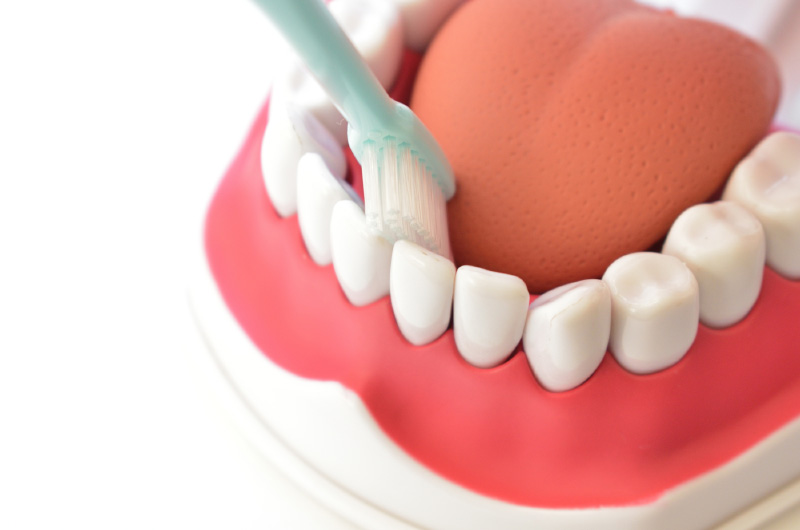 矯正治療中の歯磨き・口腔ケア方法