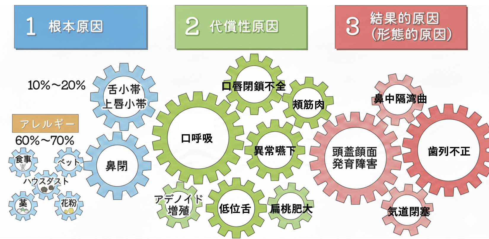 福岡県直方市でORT矯正をお考えの方へ